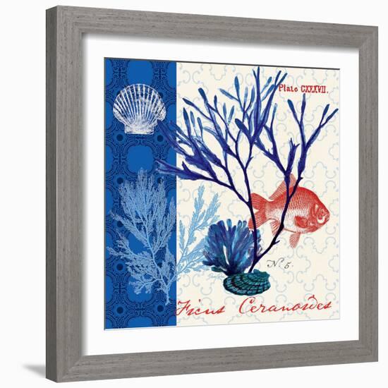 Marine Botanical-Devon Ross-Framed Art Print