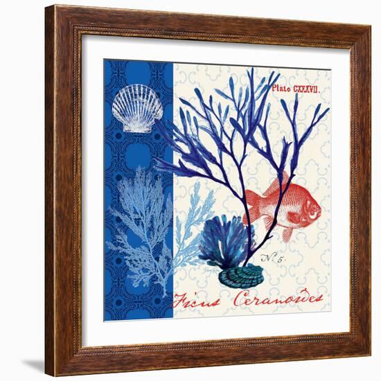 Marine Botanical-Devon Ross-Framed Art Print