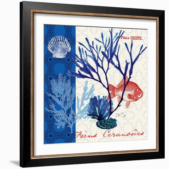 Marine Botanical-Devon Ross-Framed Art Print