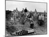 Marine Col. Francis Fenton Kneeling Over Corpse of Son, Killed in Action under His Father's Command-null-Mounted Photographic Print