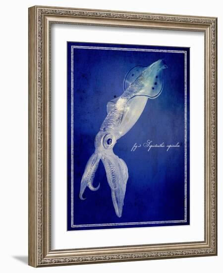 Marine Collection A-GI ArtLab-Framed Giclee Print