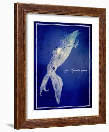 Marine Collection A-GI ArtLab-Framed Giclee Print