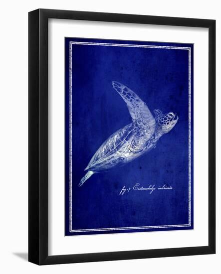 Marine Collection B-GI ArtLab-Framed Giclee Print