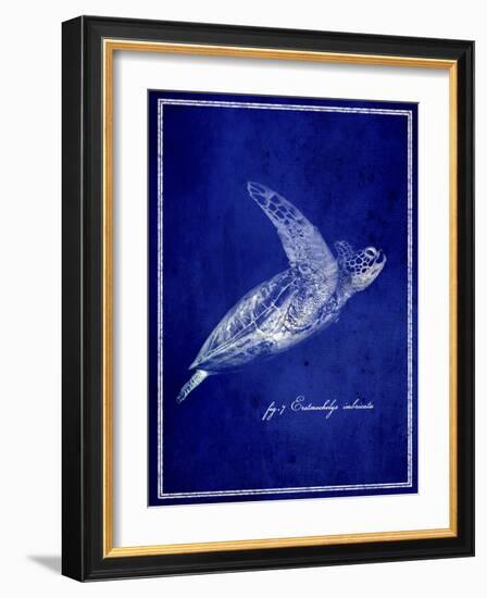 Marine Collection B-GI ArtLab-Framed Giclee Print