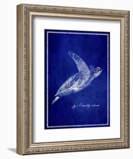 Marine Collection B-GI ArtLab-Framed Giclee Print