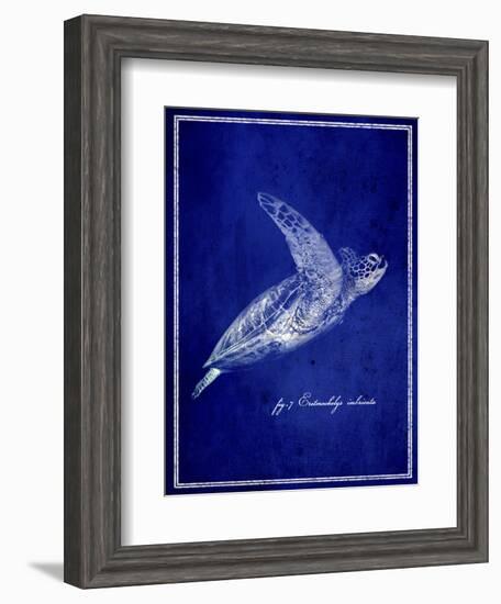 Marine Collection B-GI ArtLab-Framed Giclee Print