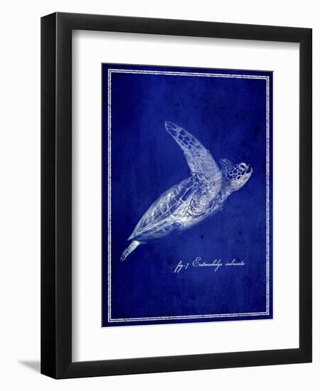 Marine Collection B-GI ArtLab-Framed Giclee Print