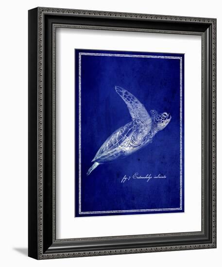 Marine Collection B-GI ArtLab-Framed Giclee Print