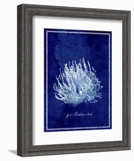 Marine Collection C-GI ArtLab-Framed Giclee Print