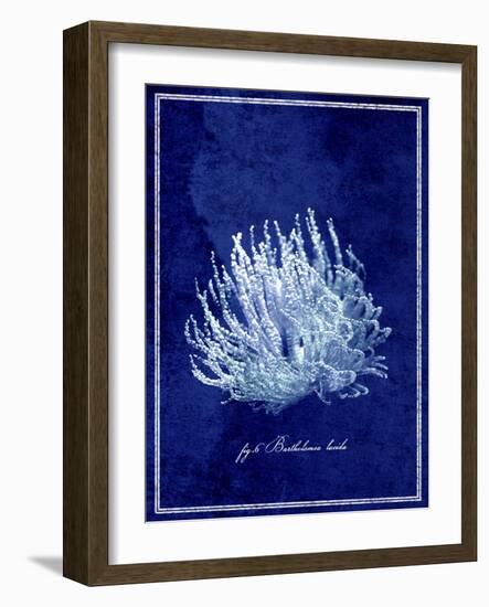 Marine Collection C-GI ArtLab-Framed Giclee Print