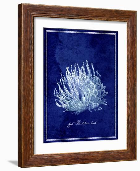 Marine Collection C-GI ArtLab-Framed Giclee Print