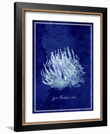 Marine Collection C-GI ArtLab-Framed Giclee Print