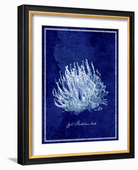 Marine Collection C-GI ArtLab-Framed Giclee Print