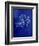 Marine Collection D-GI ArtLab-Framed Giclee Print