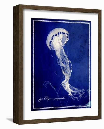 Marine Collection E-GI ArtLab-Framed Giclee Print