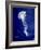 Marine Collection E-GI ArtLab-Framed Giclee Print