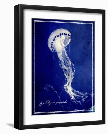 Marine Collection E-GI ArtLab-Framed Giclee Print