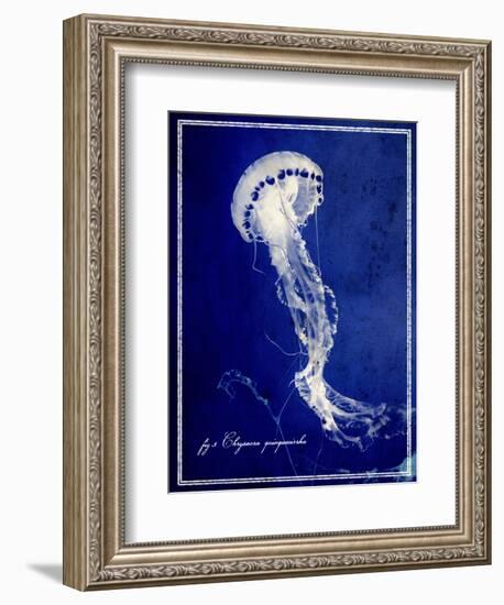 Marine Collection E-GI ArtLab-Framed Giclee Print