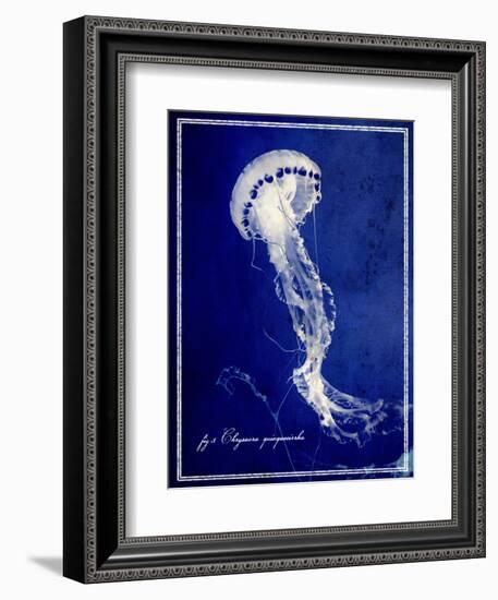 Marine Collection E-GI ArtLab-Framed Giclee Print