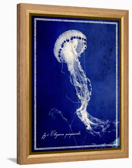 Marine Collection E-GI ArtLab-Framed Premier Image Canvas