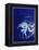 Marine Collection F-GI ArtLab-Framed Premier Image Canvas