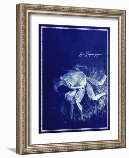 Marine Collection F-GI ArtLab-Framed Giclee Print