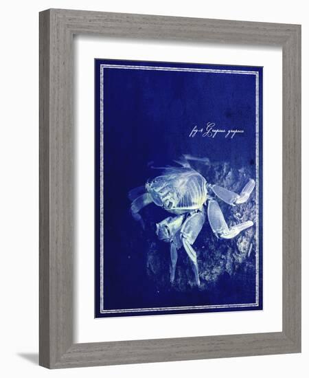 Marine Collection F-GI ArtLab-Framed Giclee Print