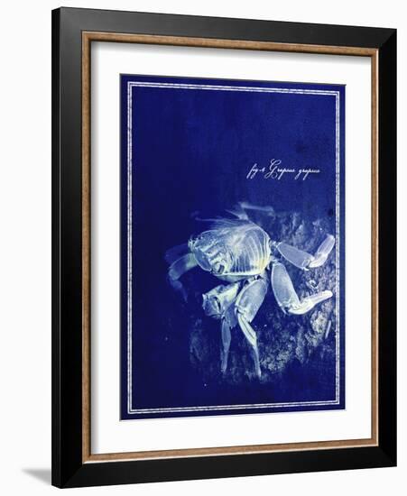 Marine Collection F-GI ArtLab-Framed Giclee Print