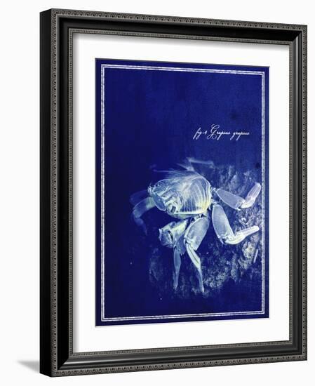 Marine Collection F-GI ArtLab-Framed Giclee Print