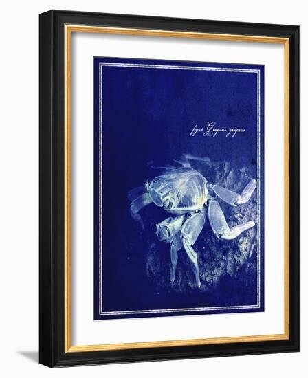 Marine Collection F-GI ArtLab-Framed Giclee Print