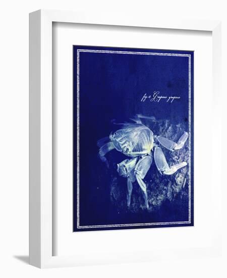 Marine Collection F-GI ArtLab-Framed Giclee Print