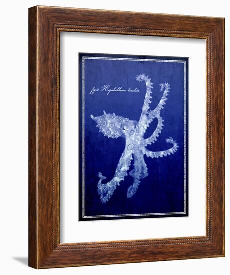 Marine Collection G-GI ArtLab-Framed Giclee Print