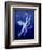 Marine Collection G-GI ArtLab-Framed Giclee Print