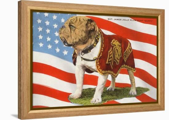 Marine Corp Boxer Dog with Flag-null-Framed Stretched Canvas