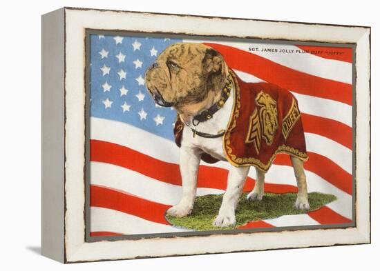 Marine Corp Boxer Dog with Flag-null-Framed Stretched Canvas