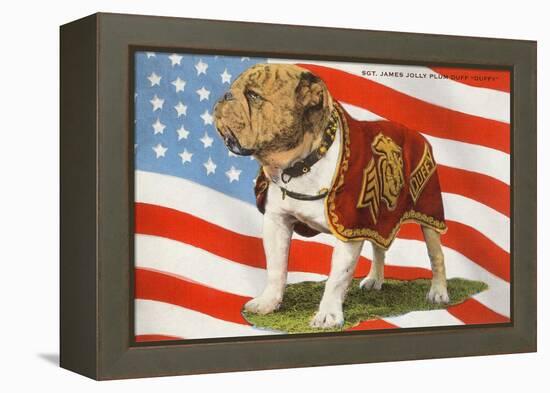 Marine Corp Boxer Dog with Flag-null-Framed Stretched Canvas