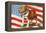 Marine Corp Boxer Dog with Flag-null-Framed Stretched Canvas