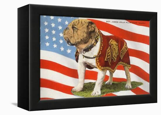 Marine Corp Boxer Dog with Flag-null-Framed Stretched Canvas