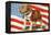 Marine Corp Boxer Dog with Flag-null-Framed Stretched Canvas