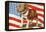 Marine Corp Boxer Dog with Flag-null-Framed Stretched Canvas