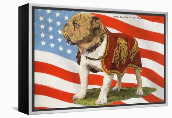 Marine Corp Boxer Dog with Flag-null-Framed Stretched Canvas