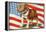 Marine Corp Boxer Dog with Flag-null-Framed Stretched Canvas