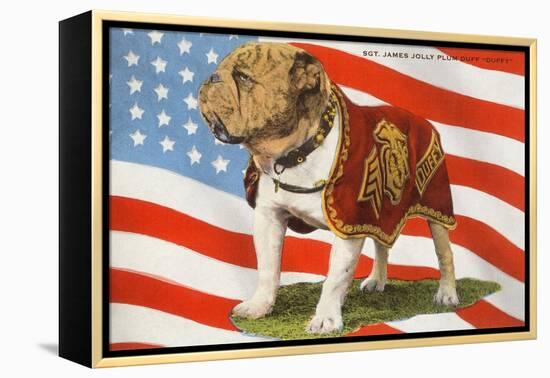 Marine Corp Boxer Dog with Flag-null-Framed Stretched Canvas