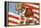 Marine Corp Boxer Dog with Flag-null-Framed Stretched Canvas