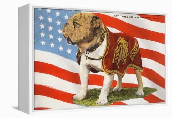 Marine Corp Boxer Dog with Flag-null-Framed Stretched Canvas