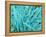 Marine Diatom-Micro Discovery-Framed Premier Image Canvas