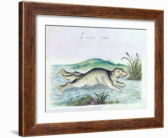 Marine Dog, 16th Century-null-Framed Giclee Print