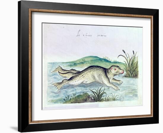 Marine Dog, 16th Century-null-Framed Giclee Print