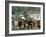Marine Guarding Mostly Old People and Children Who Are Resting on Their Way to a Refugee Collection-Paul Schutzer-Framed Photographic Print