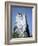 Marine Iguana and Galapagos Mockingbird Atop a Monument, Galapagos Islands, Ecuador-Charles Sleicher-Framed Photographic Print